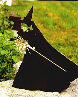 Wicked Witch of the West Left Side
