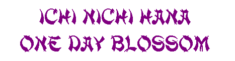 Ichinichi banner
