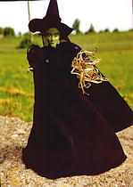 Wicked Witch of the West